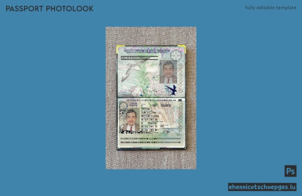 Vorschau des Passfotos für das Vereinigte Königreich Großbritannien und Nordirland (2010–2015)